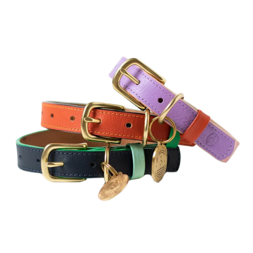 PET COLLARS