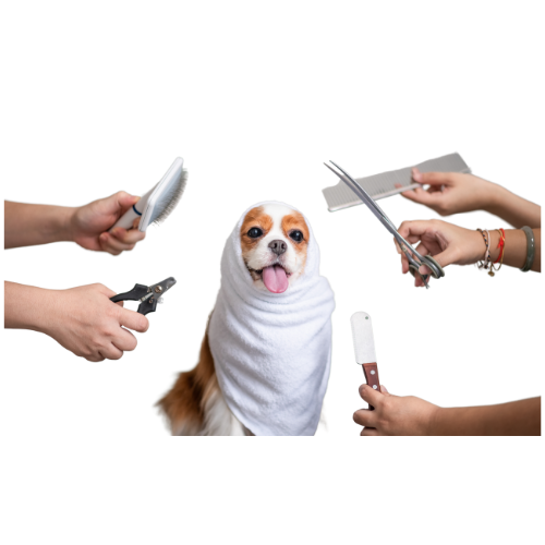 PET GROOMING & FASHION